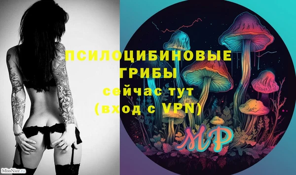 кокс Вяземский