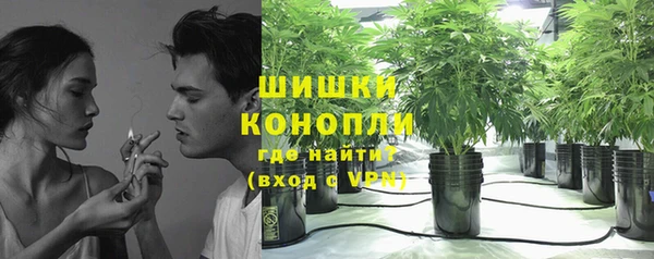 кокс Вяземский
