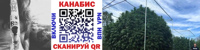Купить закладки  Лабинск  Бошки марихуана Amnesia 